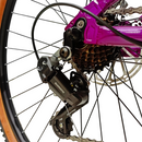 Bicicleta Gw Monkey Rin 29 21V Mecanica +Obsequio