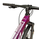 Bicicleta Gw Monkey Rin 29 21V Mecanica +Obsequio