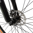 Bicicleta Gw Monkey Rin 29 21V Mecanica +Obsequio