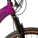 Bicicleta Gw Monkey Rin 29 21V Mecanica +Obsequio