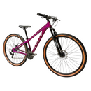 Bicicleta Gw Monkey Rin 29 21V Mecanica +Obsequio