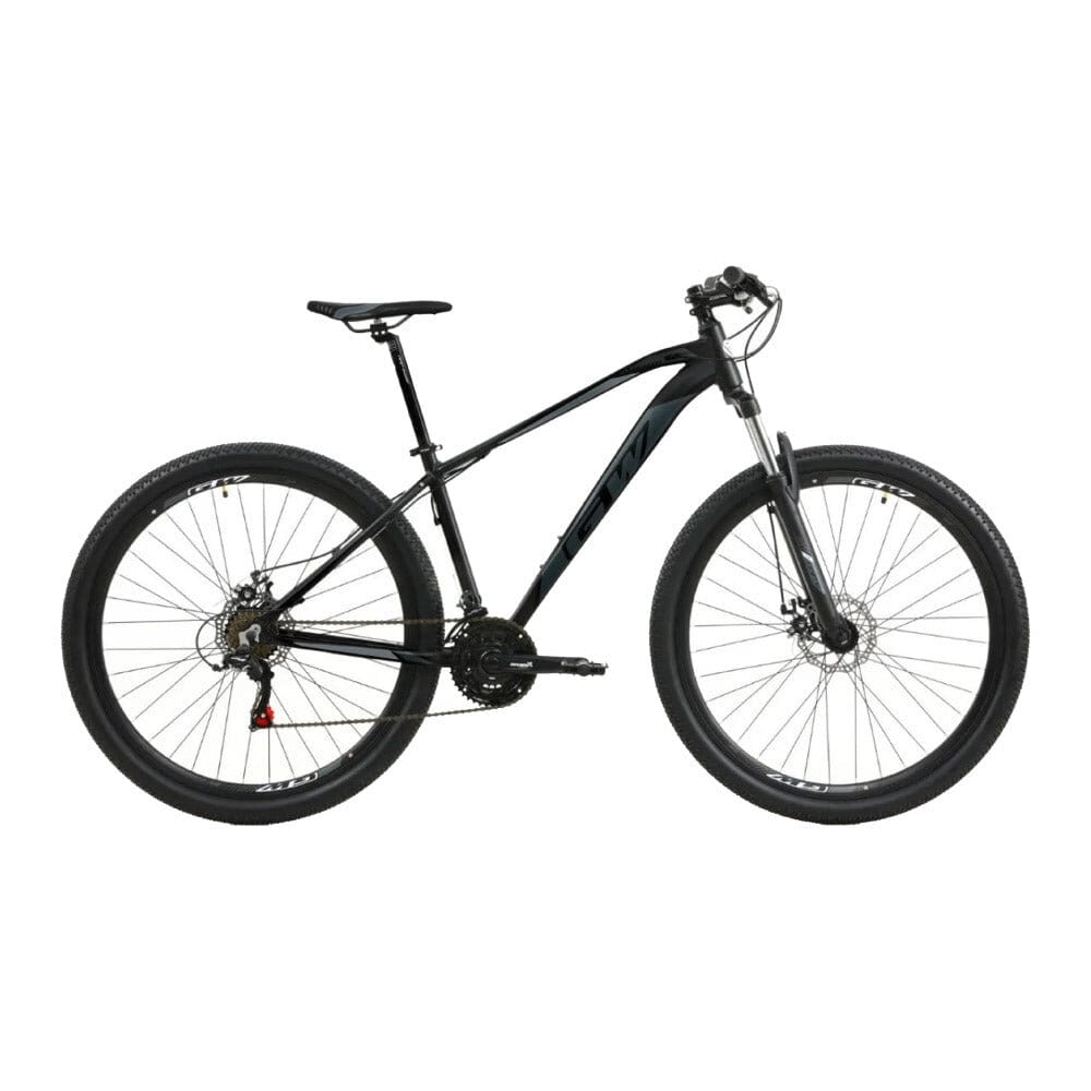 Bicicleta rin 2025 29 precio