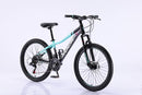 Bicicleta Roca Acero Rin 26 2025