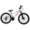 Bicicleta Roca Steel Rin 26