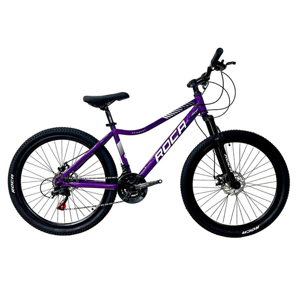 Bicicleta Roca Steel Rin 26