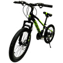 Bicicleta Roca Niño(a) Rin 20
